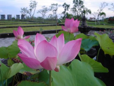 Breathwork in Bali